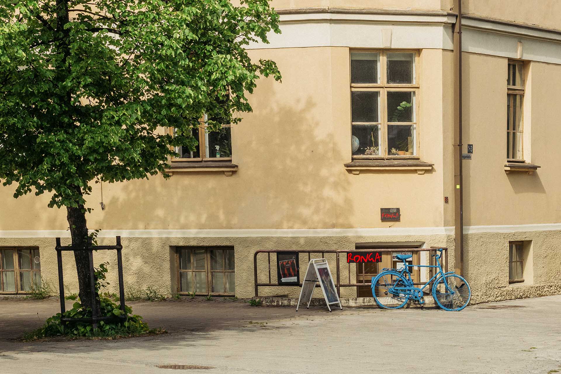 ronga_ulko2